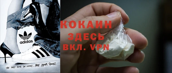 дурь Алексин