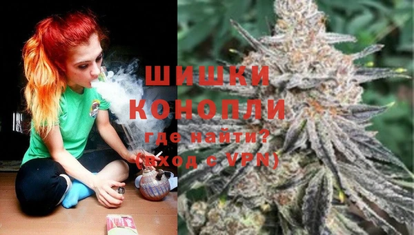 дмт Алзамай